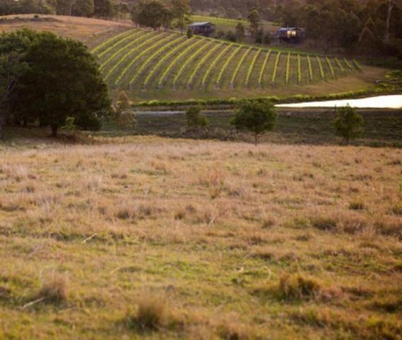 Oceanview Estate Vineyard Cottages Ocean View Exterior foto